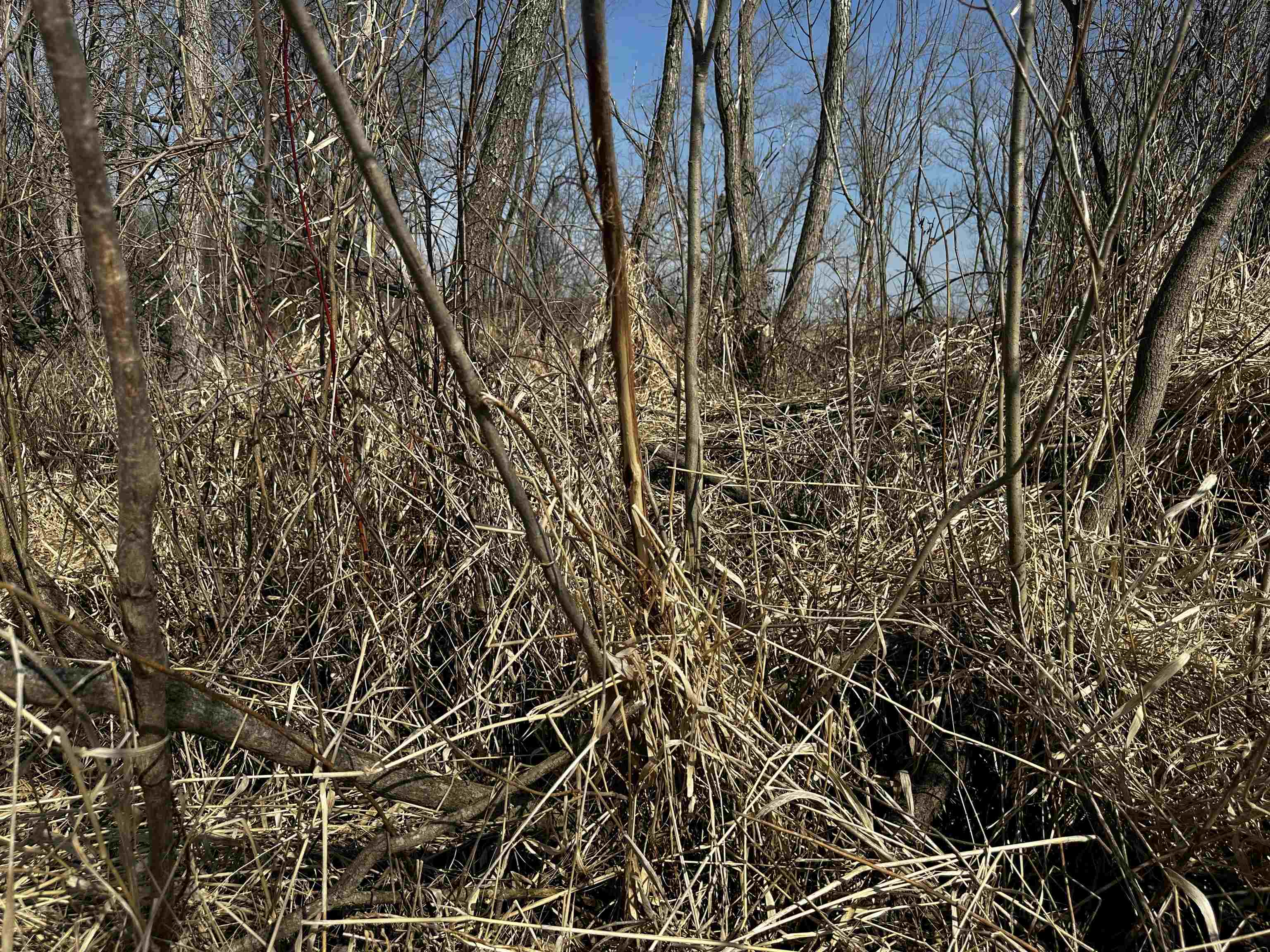 County Street North Waldo, WI 53093 - Photo 15 of 26