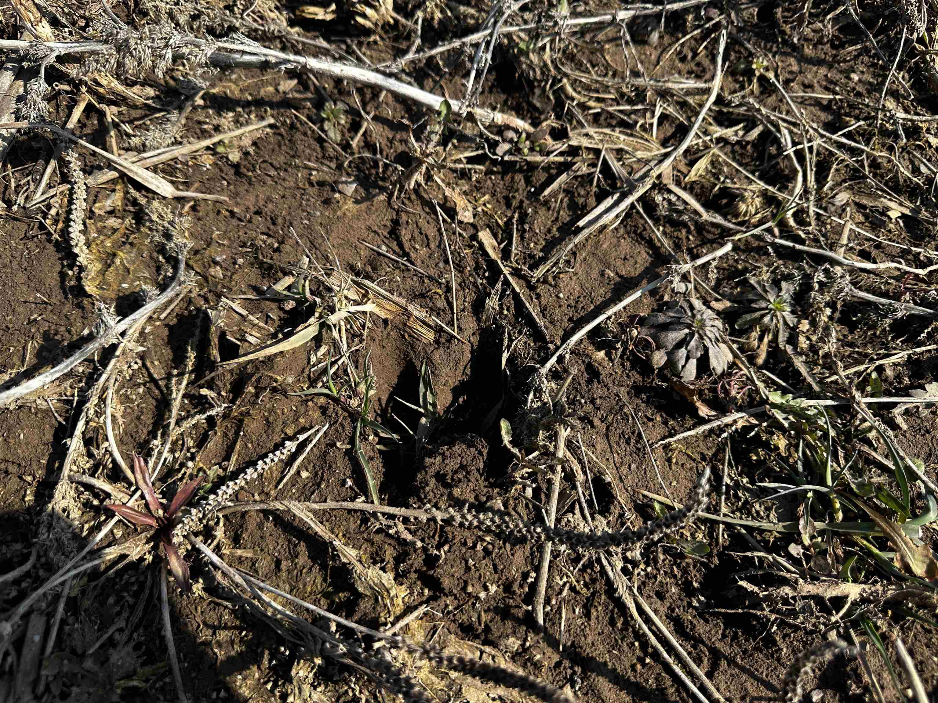 County Street North Waldo, WI 53093 - Photo 20 of 26