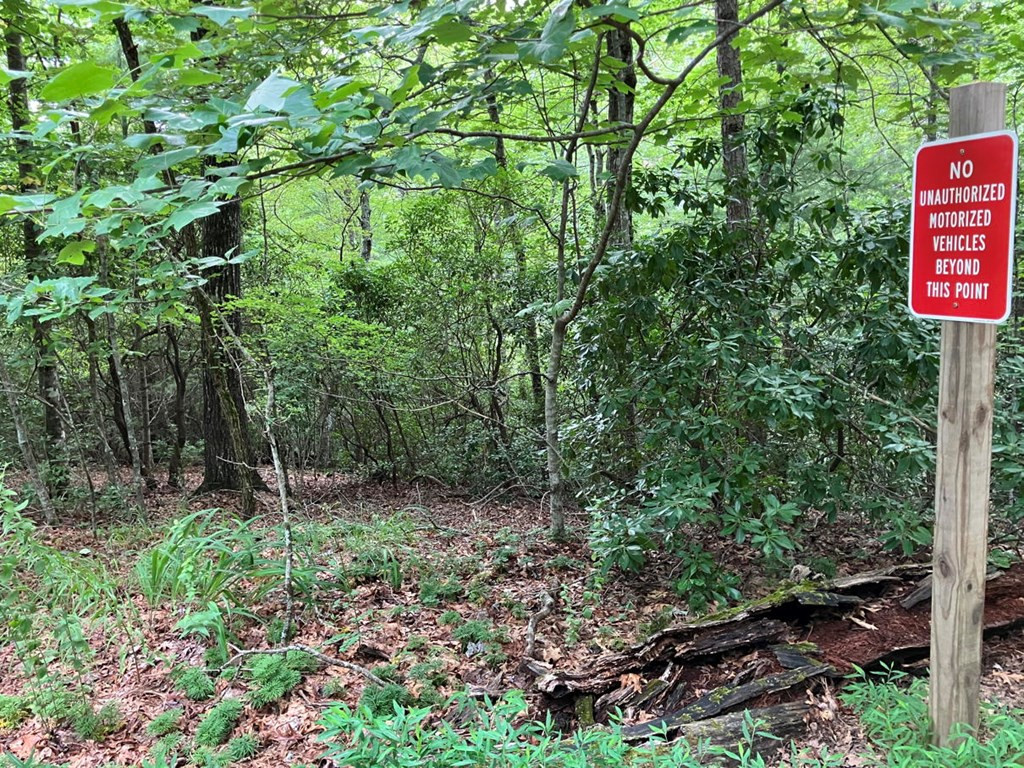 41 Floris Murphy, NC 28906 - Photo 2 of 11