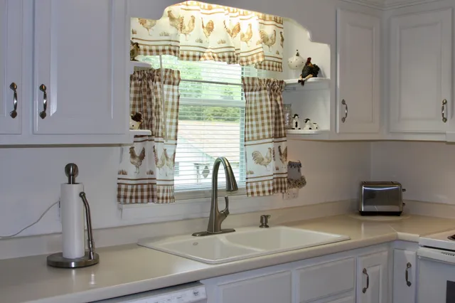 a kitchen with a sink and a potted plant