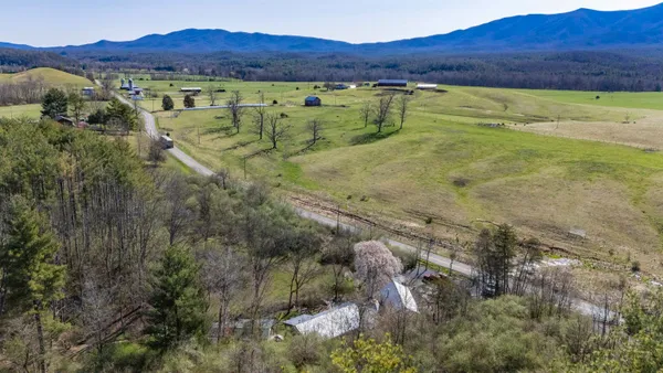 a view of a city with lush green forest
