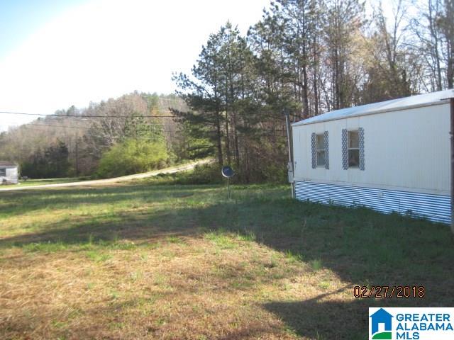 1560 Dripping Rock Road Piedmont, AL 36272 - Photo 6 of 8