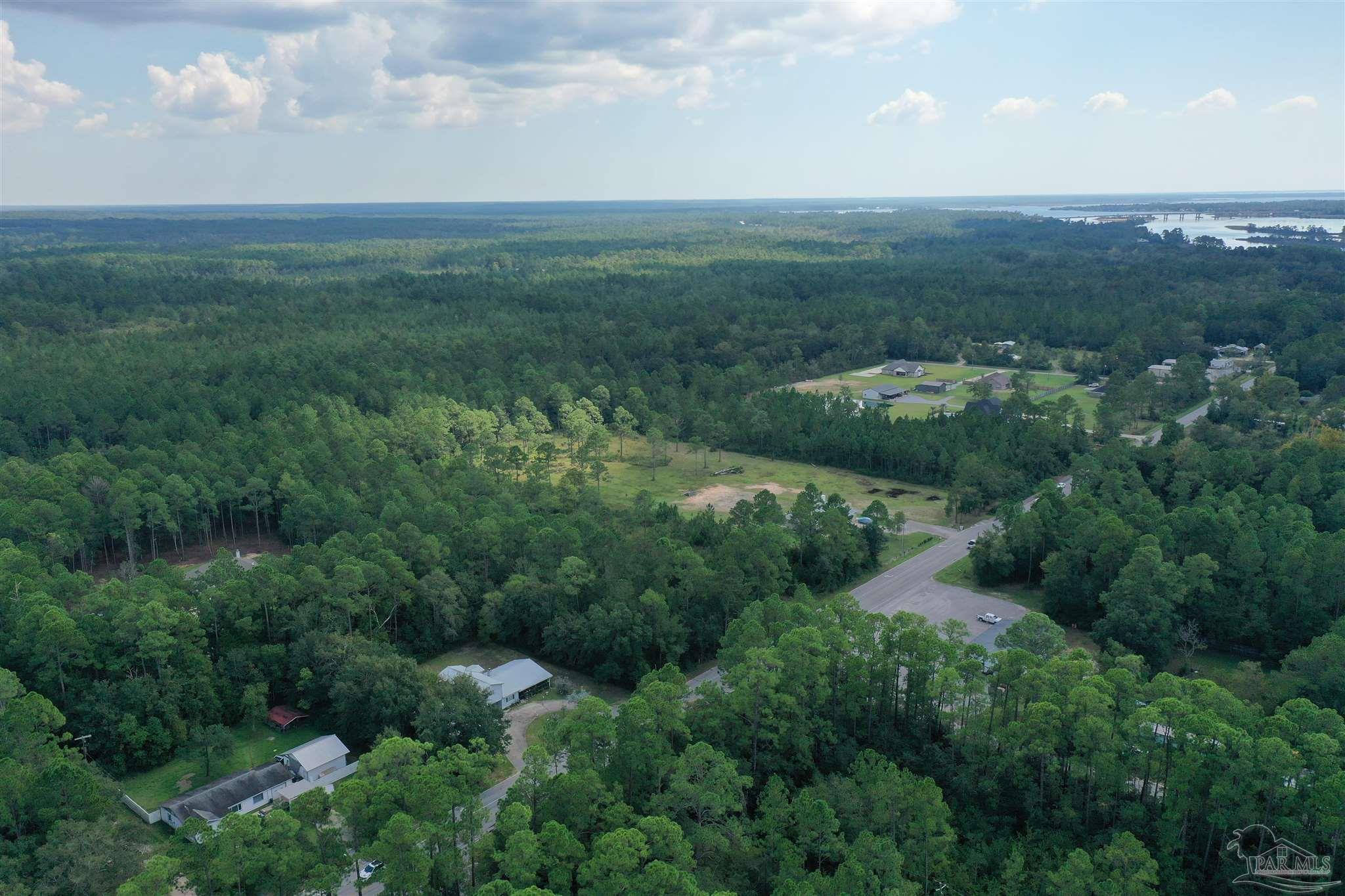 Tbd Ward Basin Road Milton, FL 32583 - Photo 5 of 12 Gallery Image 5