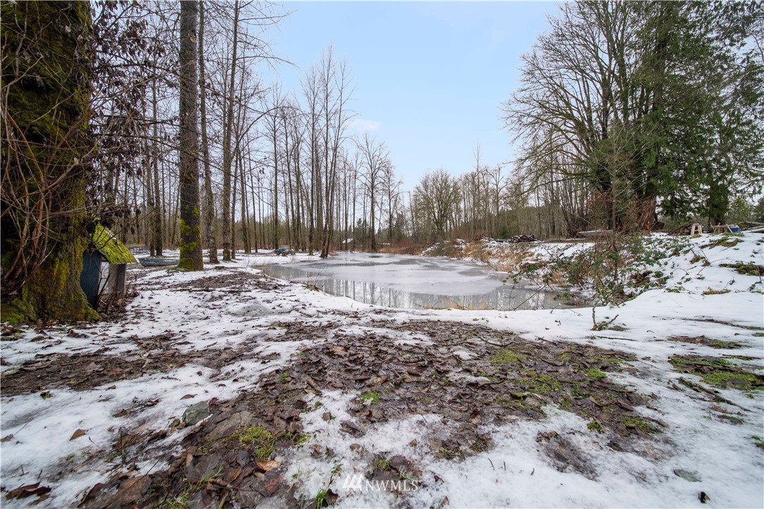 314 Russell Road Snohomish, WA 98290 - Photo 22 of 23 a view of dirt yard with a large tree