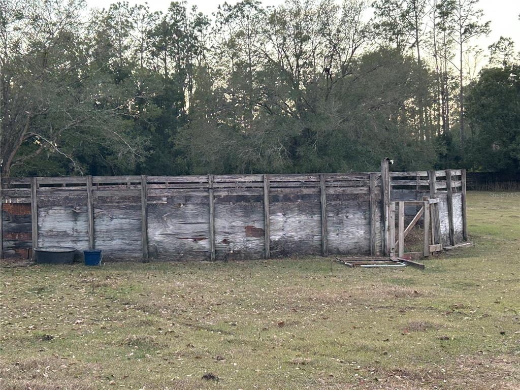 3633 Apfel Road Wesley Chapel, FL 33543 - Photo 15 of 30