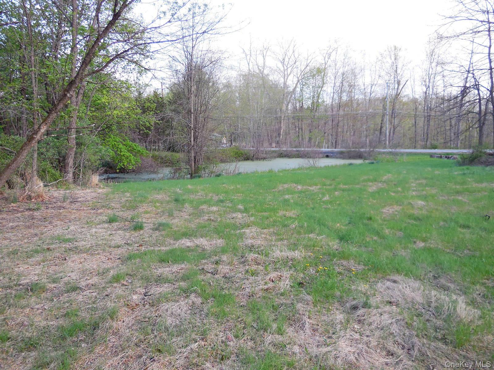 617 Burlingham Road Bloomingburg, NY 12721 - Photo 34 of 39 Water view with Burlingham Rd in background.