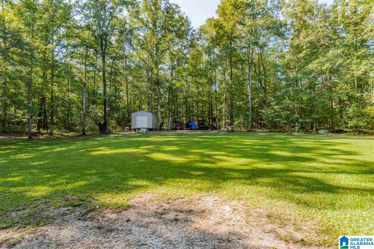 262 Highway 335 Chelsea, AL 35043 - Photo 48 of 49