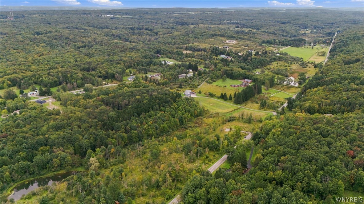 8049 Irish Road Colden, NY 14033 - Photo 14 of 30 Gallery Image 14