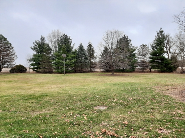 8636 Richardson Road Spring Grove, IL 60081 - Photo 6 of 31