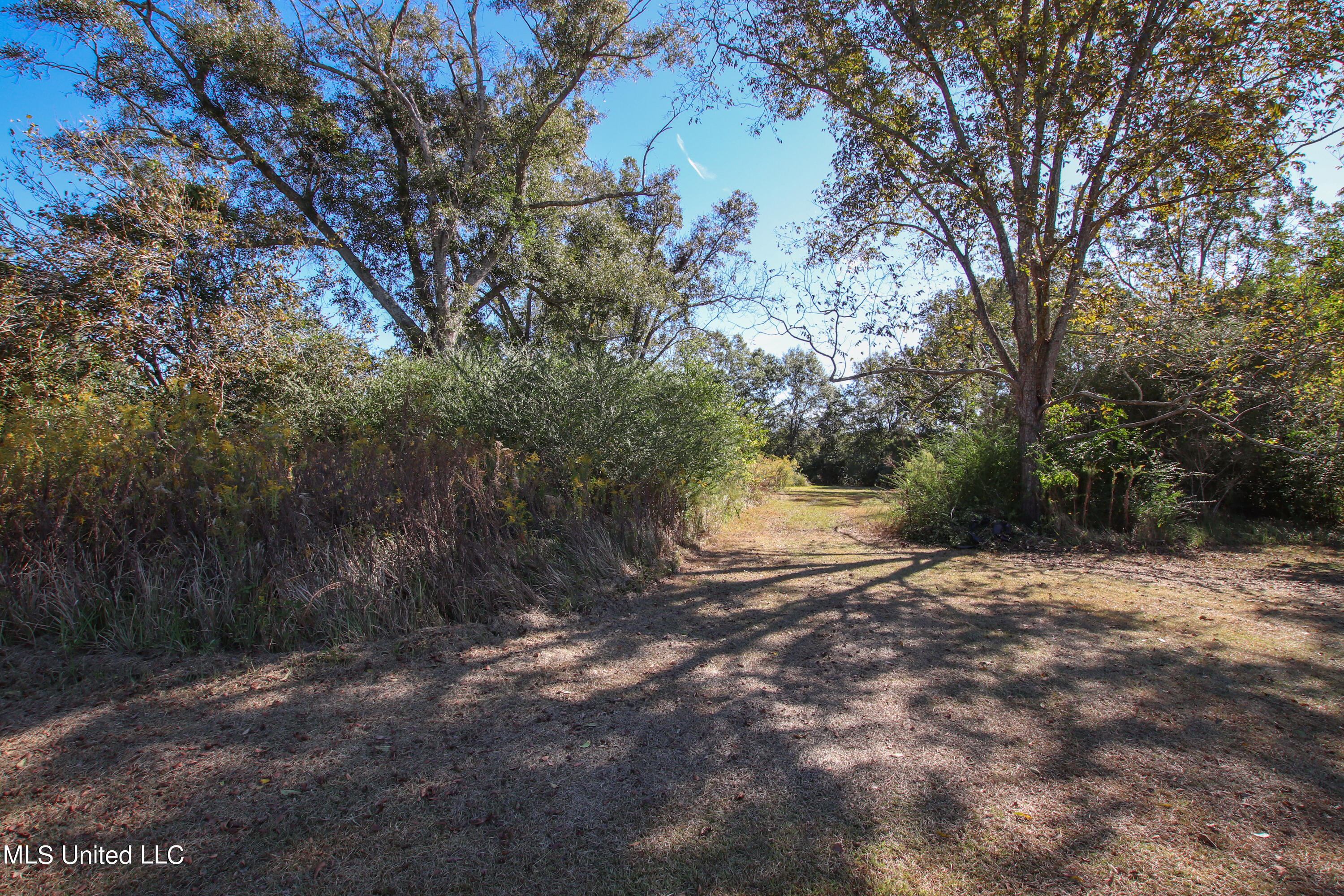 164 Jessie Smith Road Lucedale, MS 39452 - Photo 48 of 60 IMG_1337