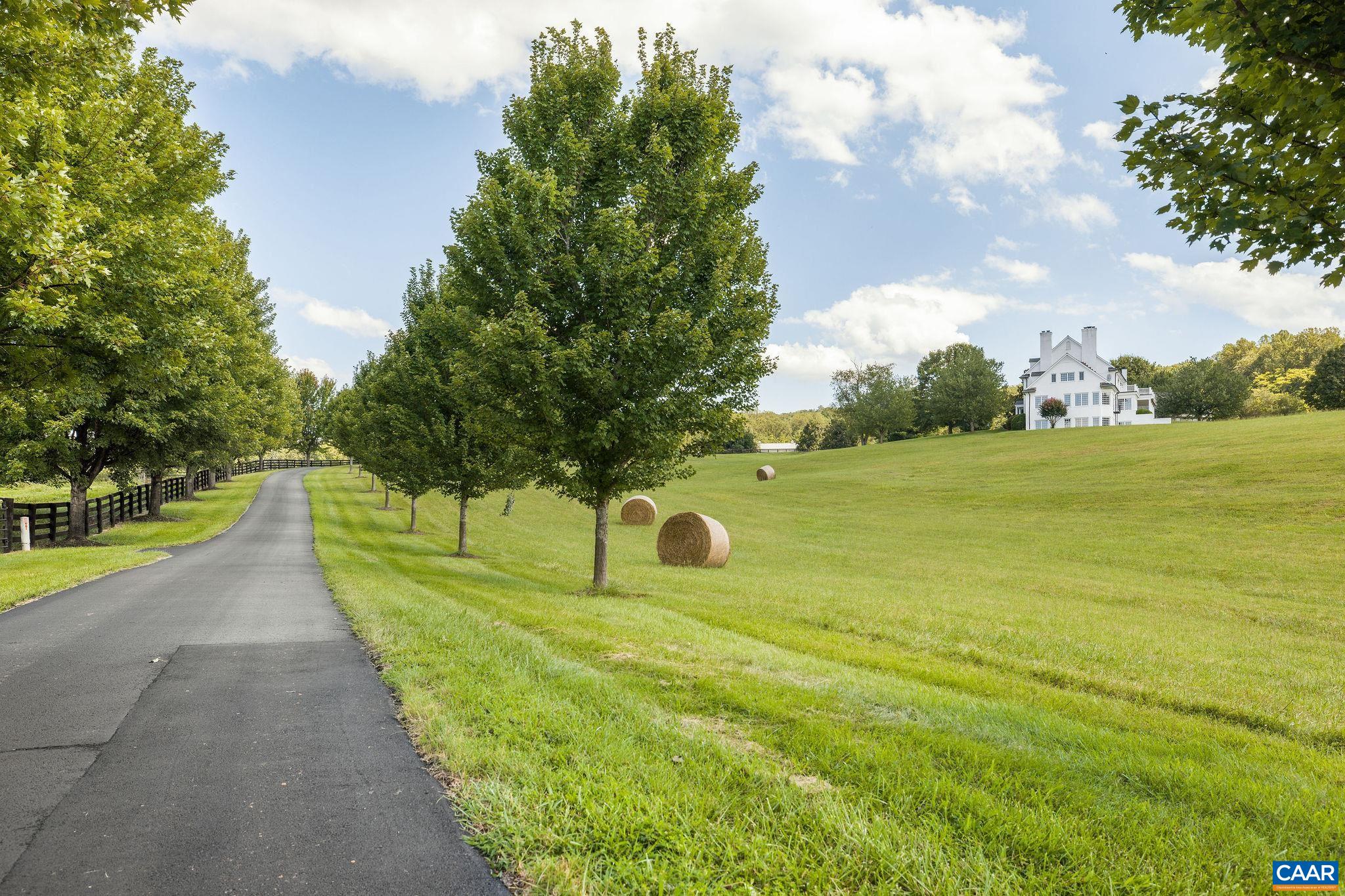 3365 Stony Point Road Charlottesville, VA 22911 - Photo 11 of 75