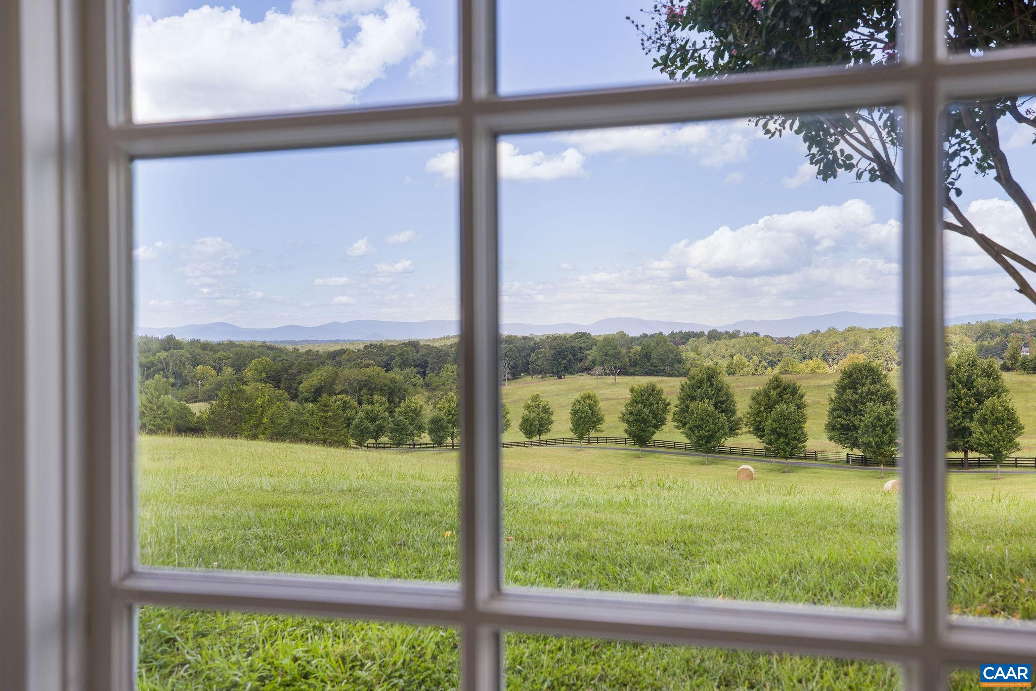 3365 Stony Point Road Charlottesville, VA 22911 - Photo 68 of 75