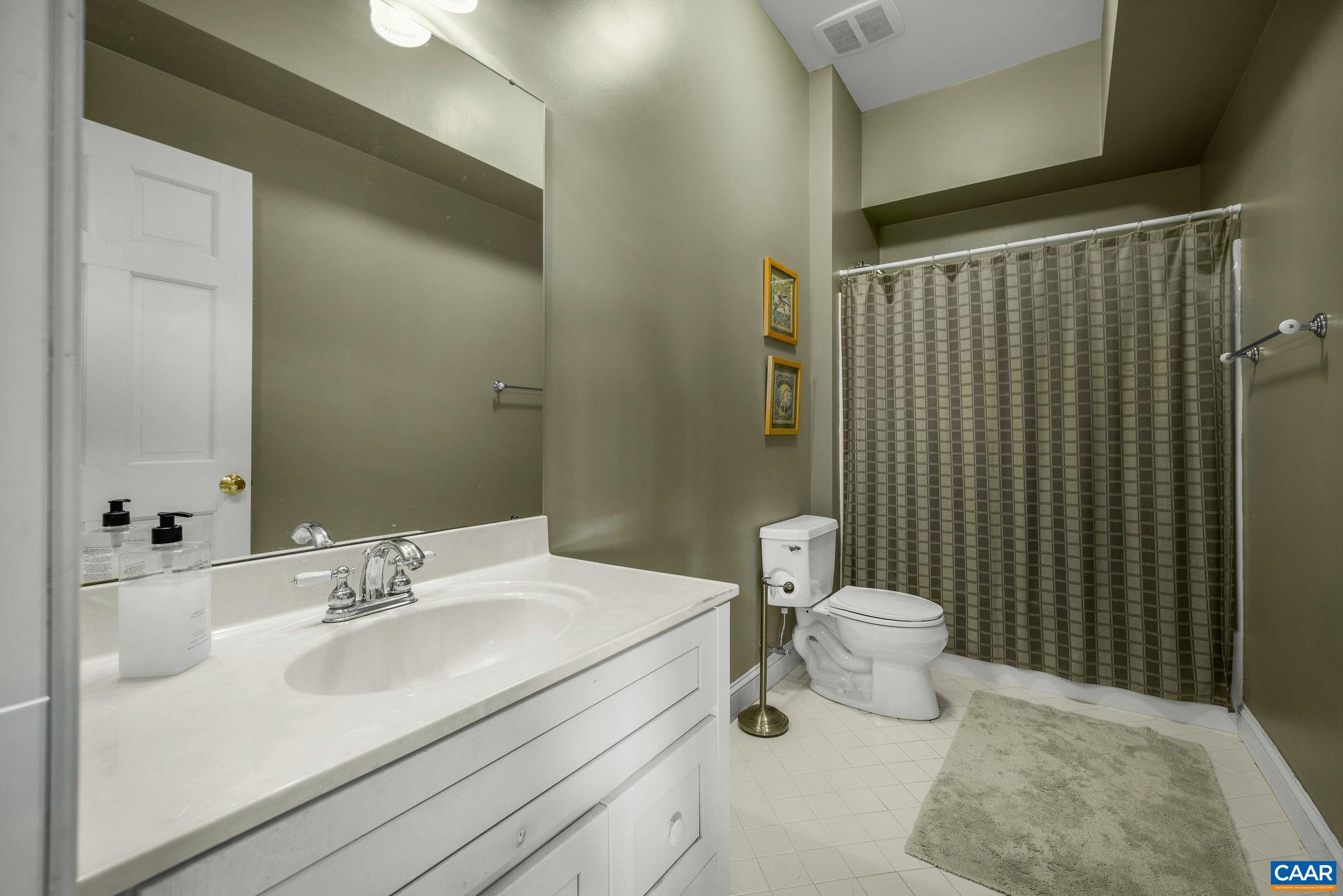 3365 Stony Point Road Charlottesville, VA 22911 - Photo 70 of 75 a bathroom with a sink toilet and shower