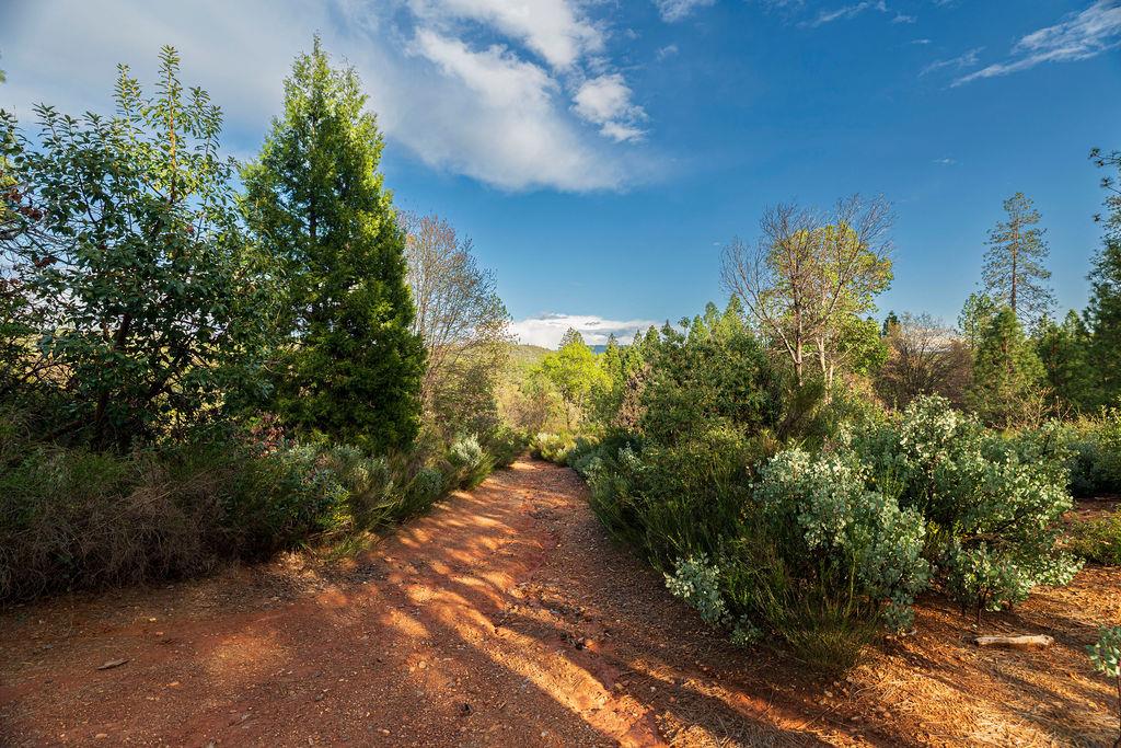 10571 Sebastopol Road North San Juan, CA 95960 - Photo 27 of 34 Gallery Image 27