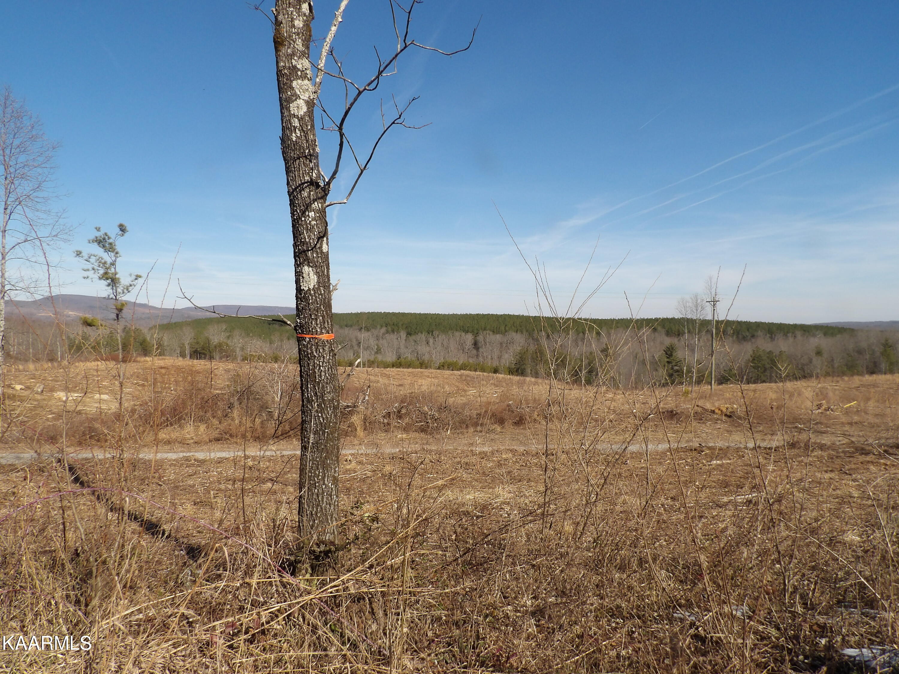 Shut In Gap Rd Spring Spring City, TN 37381 - Photo 1 of 8 100_1122