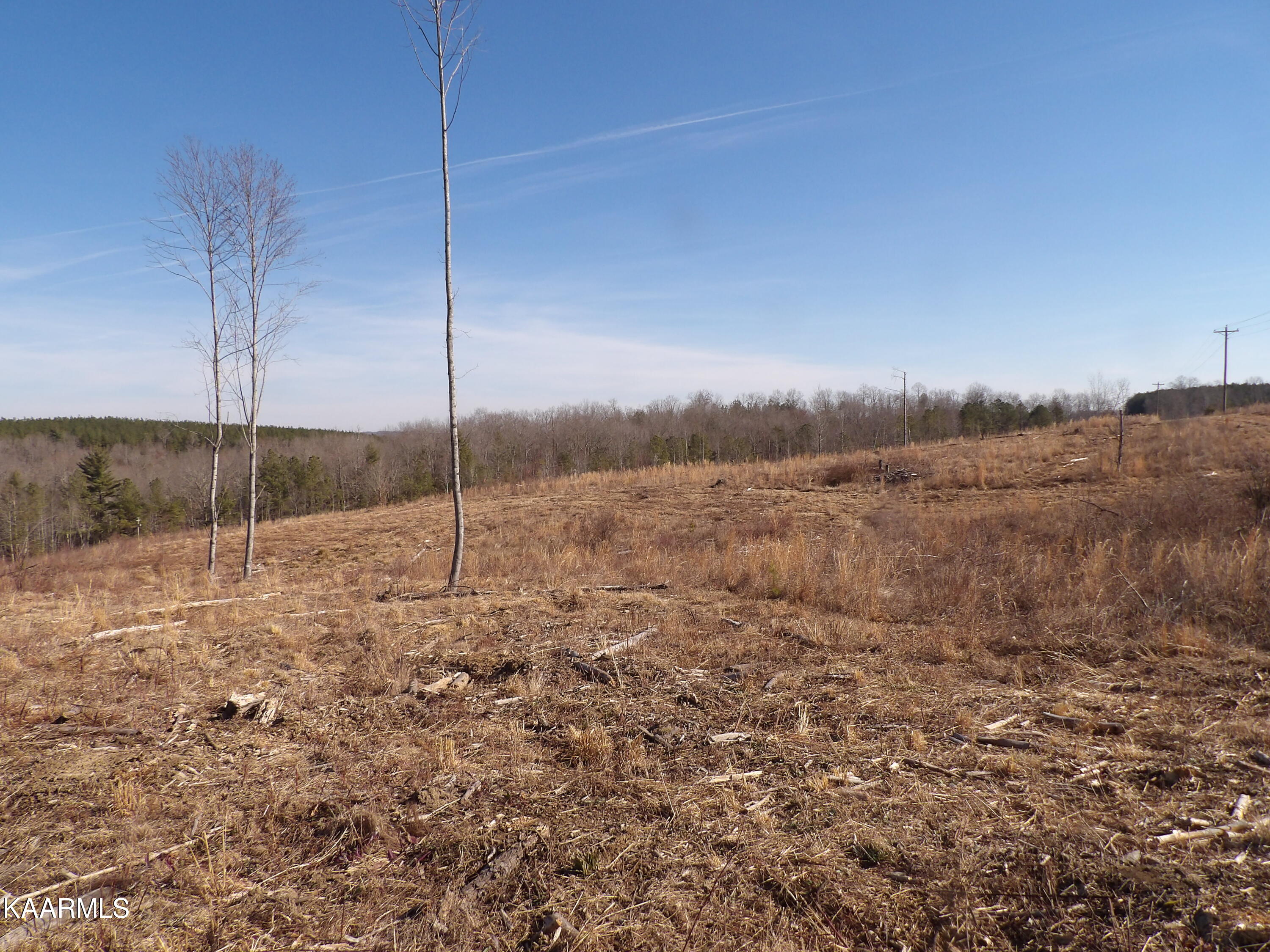 Shut In Gap Rd Spring Spring City, TN 37381 - Photo 5 of 8 100_1152