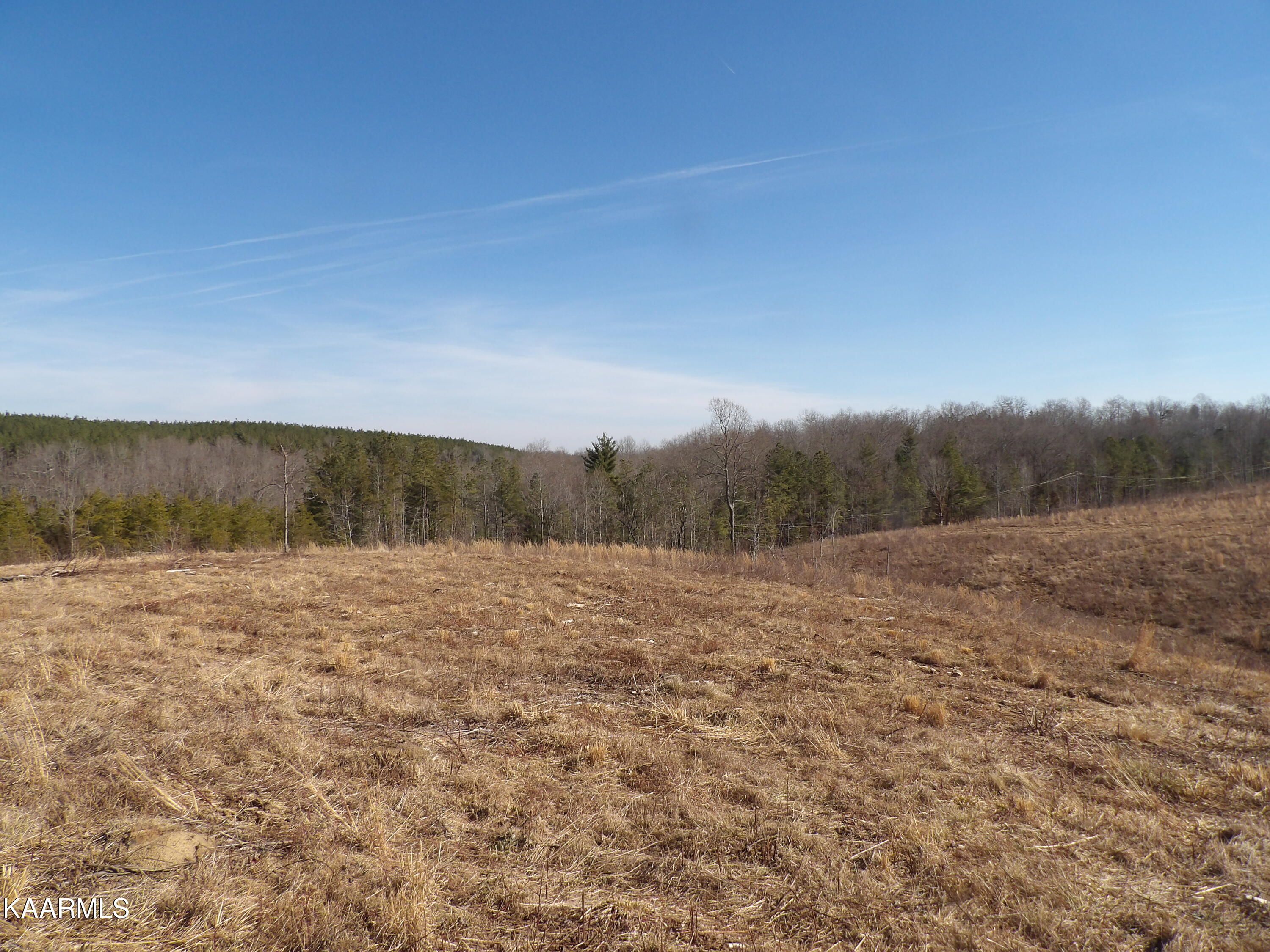 Shut In Gap Rd Spring Spring City, TN 37381 - Photo 6 of 8 100_1156