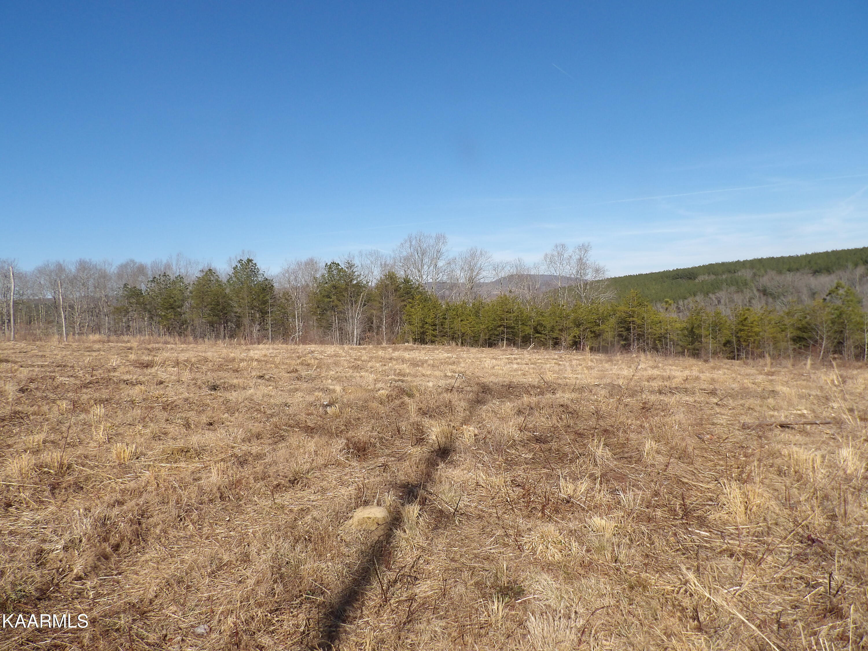 Shut In Gap Rd Spring Spring City, TN 37381 - Photo 7 of 8 100_1160
