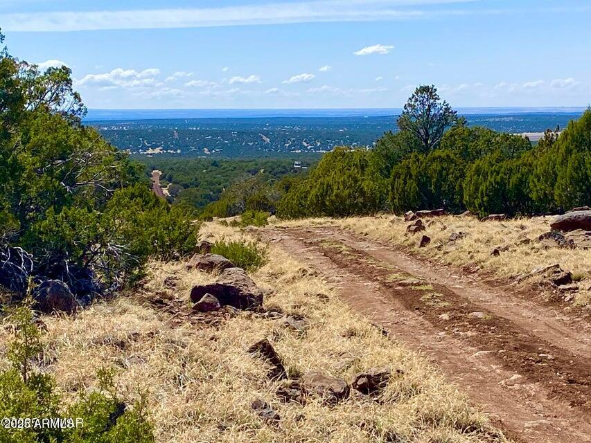 74 County Road 8056, Unit 152 Show Low, AZ 85901 - Photo 1 of 20 a view of a dry yard with wooden fence
