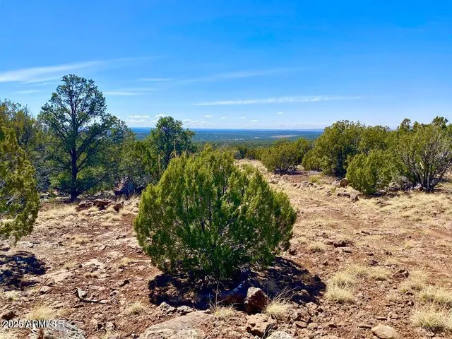 a view of a large yard with lots of green space