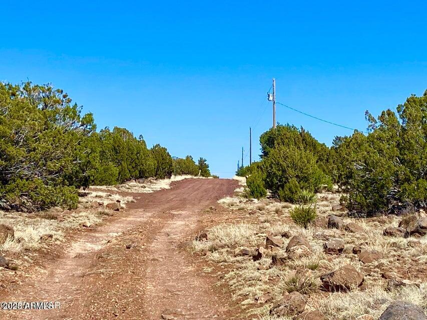 74 County Road 8056, Unit 152 Show Low, AZ 85901 - Photo 2 of 20 a backyard of a house with lots of green space