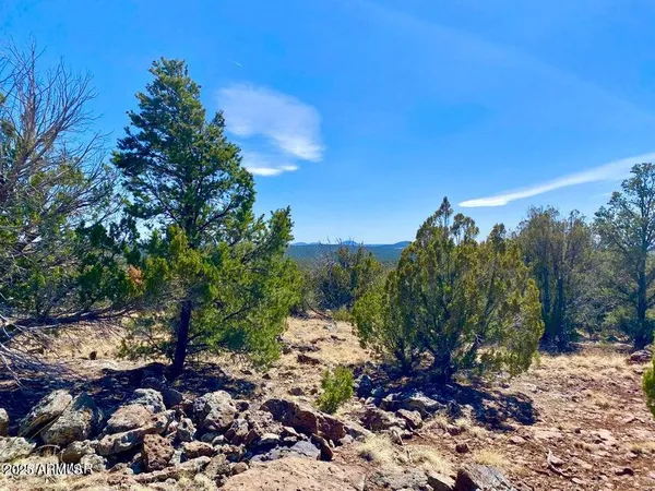 a view of a plants with trees in the background