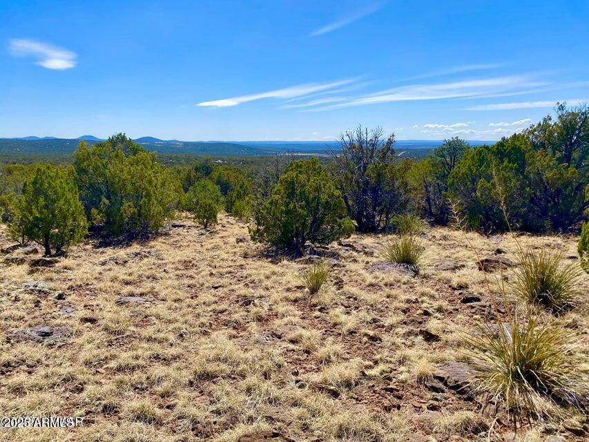 74 County Road 8056, Unit 152 Show Low, AZ 85901 - Photo 7 of 20 a view of a yard with a house