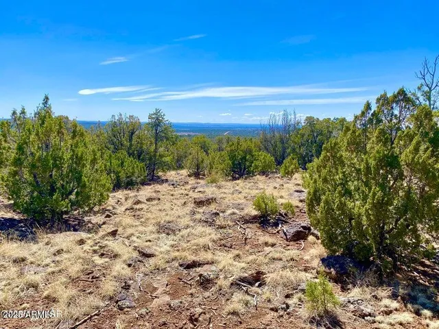 a view of a yard with a house in the background