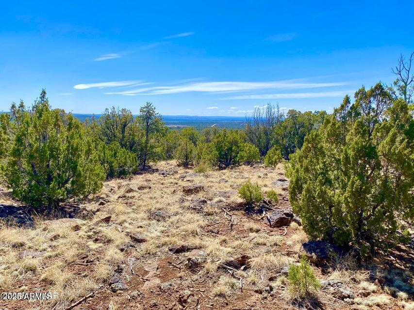 74 County Road 8056, Unit 152 Show Low, AZ 85901 - Photo 9 of 20 a view of a yard with a house in the background
