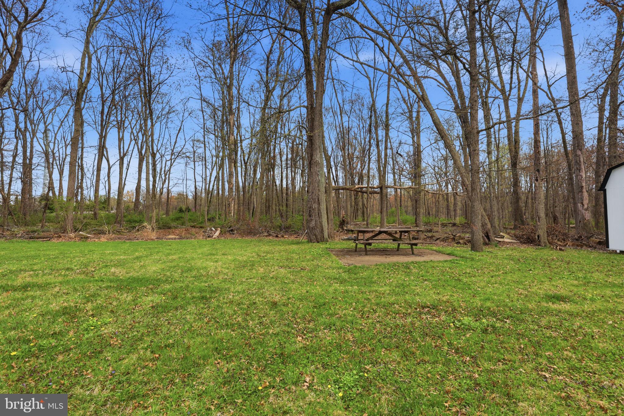 25 Diverty Road Pennington, NJ 08534 - Photo 25 of 37 Serene green space by the woods.
