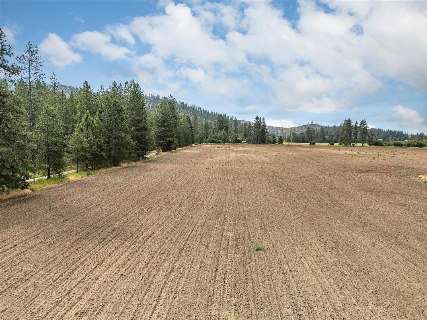 231 Springdale Wa 99173 Springdale, WA 99173 - Photo 11 of 35