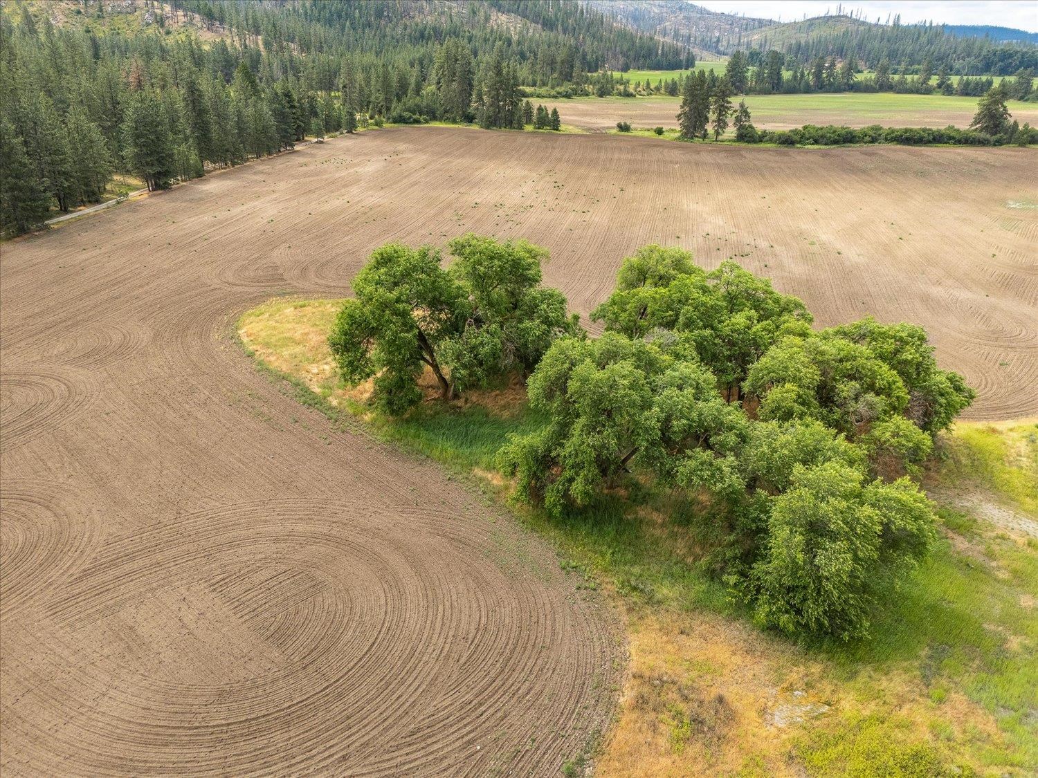 231 Springdale Wa 99173 Springdale, WA 99173 - Photo 13 of 35