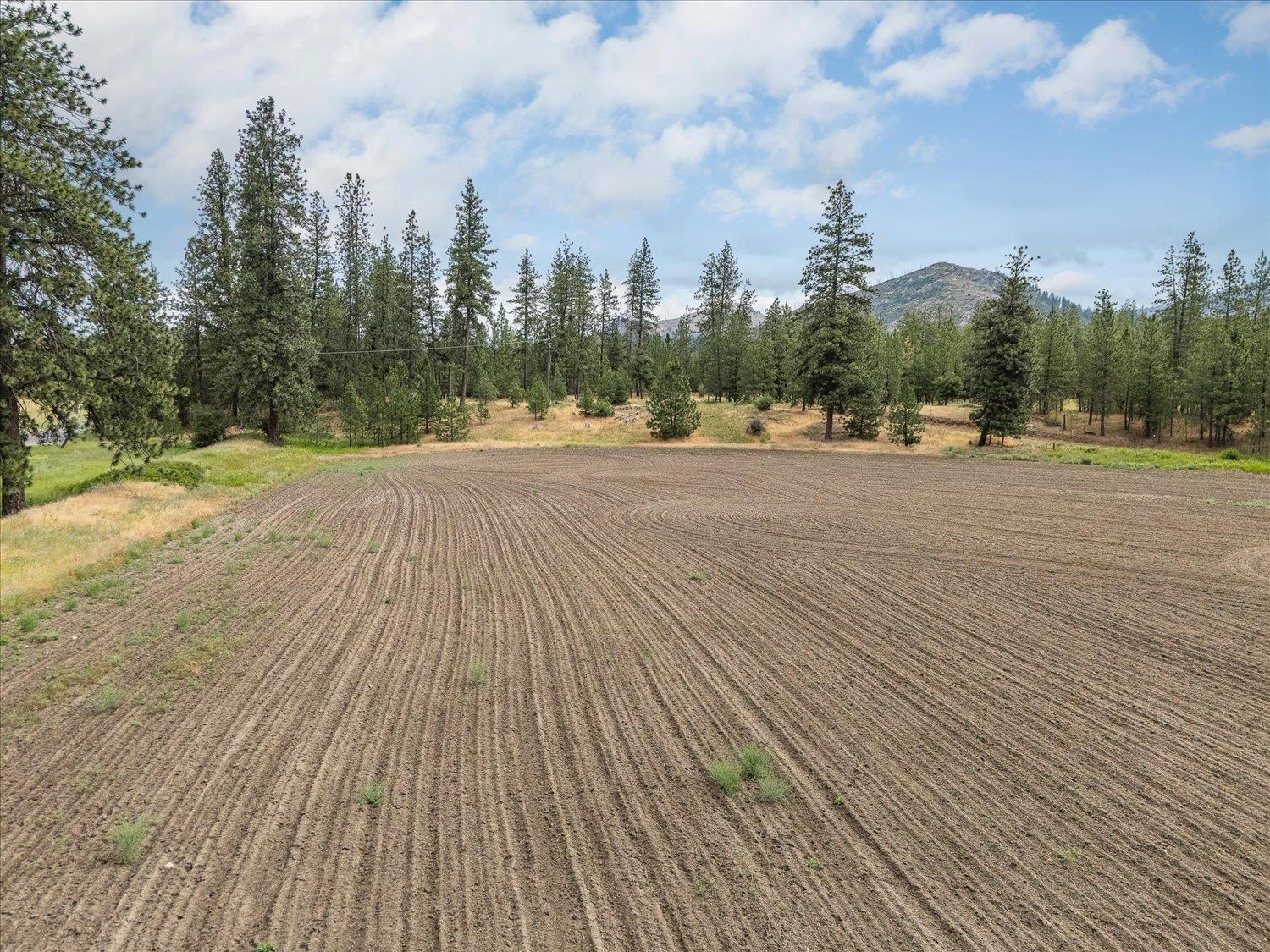 231 Springdale Wa 99173 Springdale, WA 99173 - Photo 14 of 35