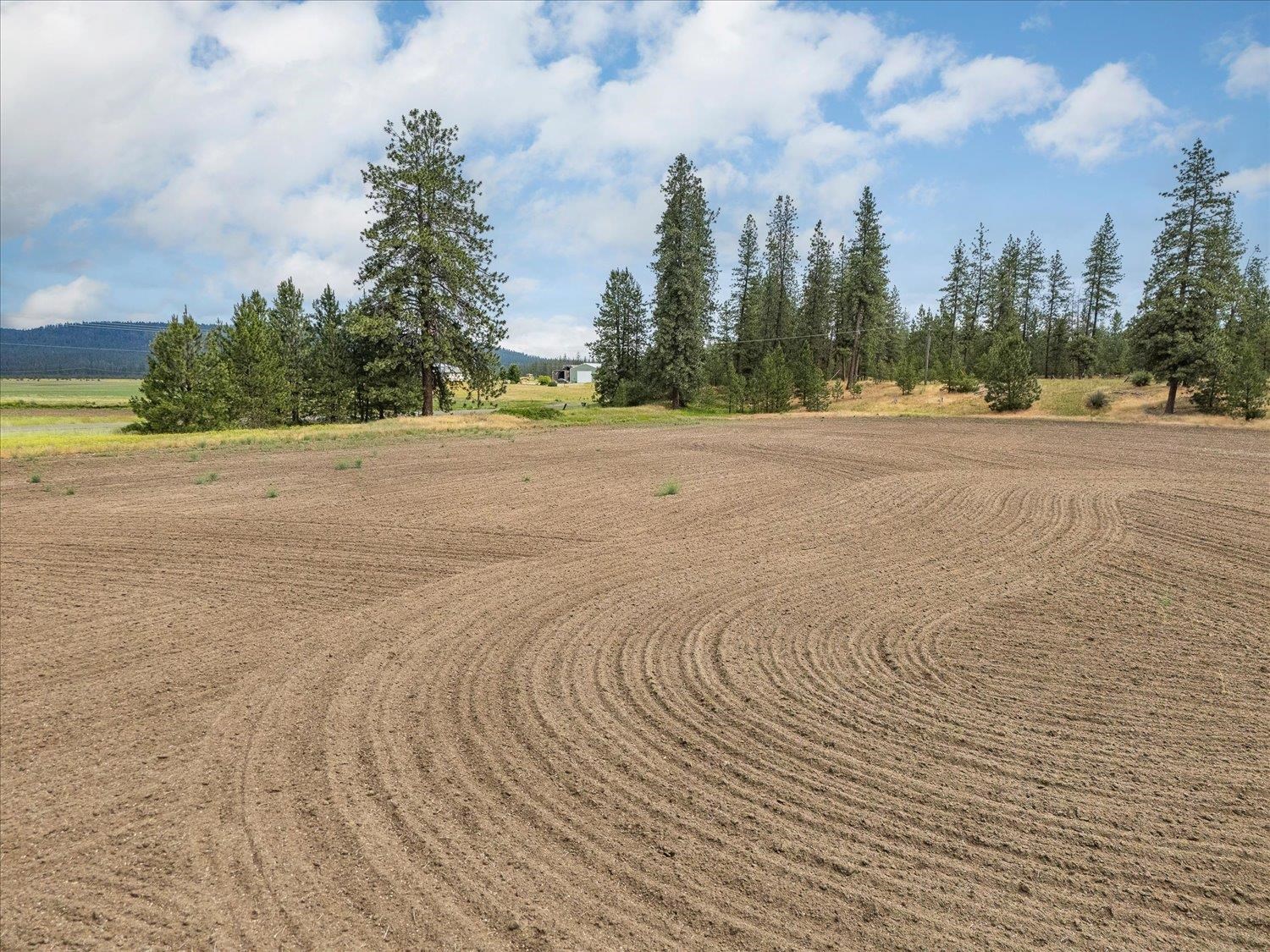 231 Springdale Wa 99173 Springdale, WA 99173 - Photo 16 of 35