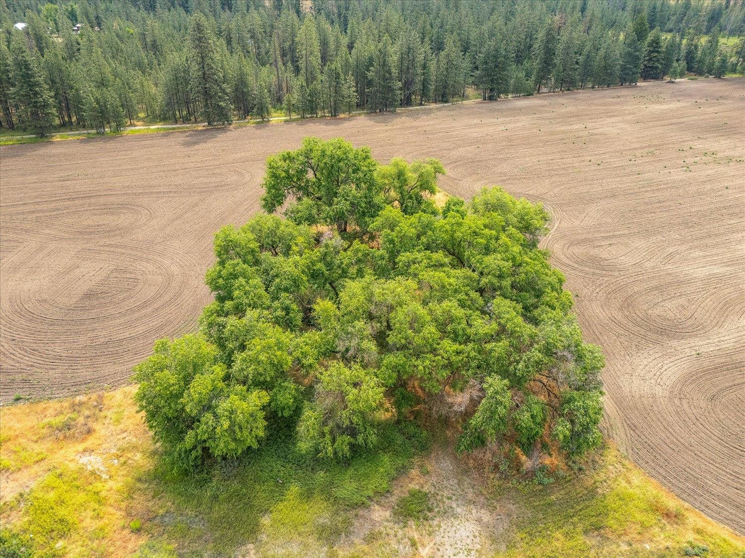 231 Springdale Wa 99173 Springdale, WA 99173 - Photo 17 of 35