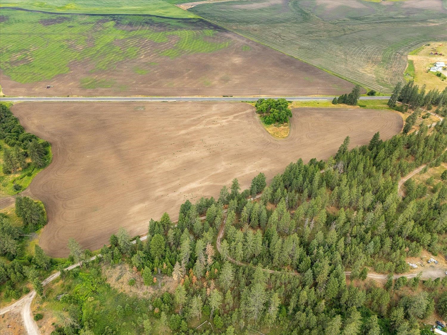 231 Springdale Wa 99173 Springdale, WA 99173 - Photo 23 of 35