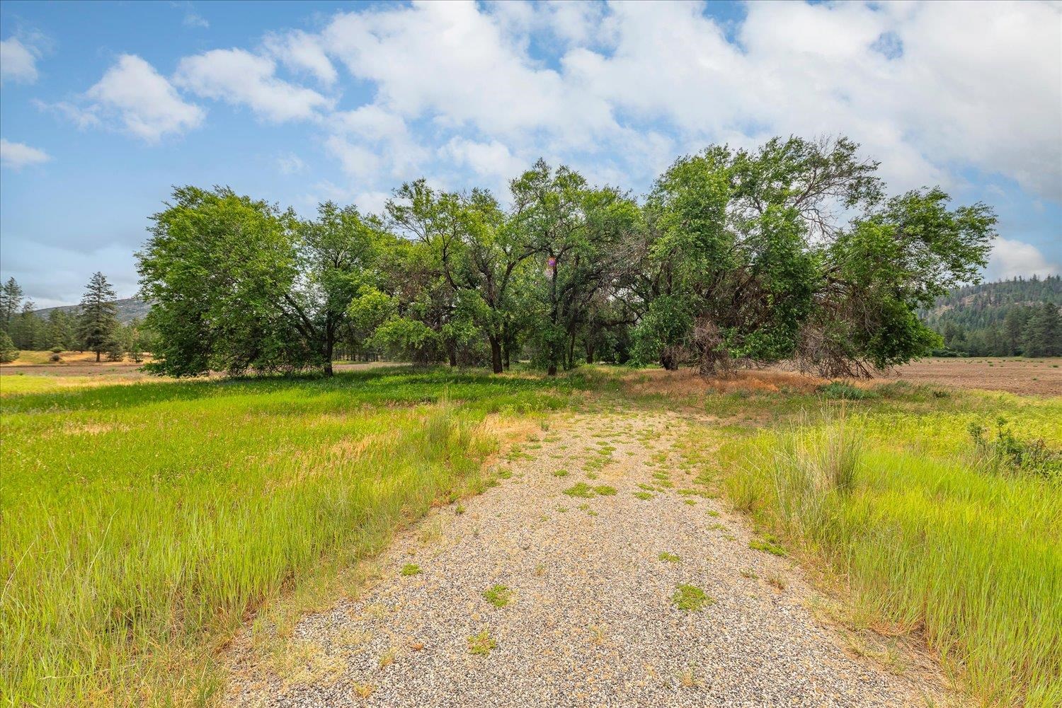 231 Springdale Wa 99173 Springdale, WA 99173 - Photo 3 of 35