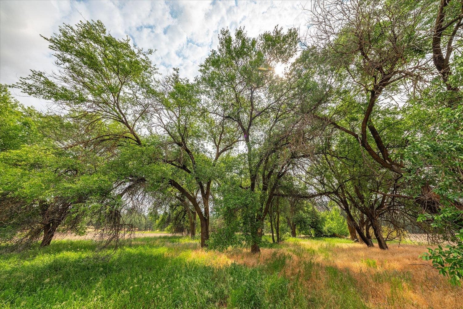 231 Springdale Wa 99173 Springdale, WA 99173 - Photo 5 of 35