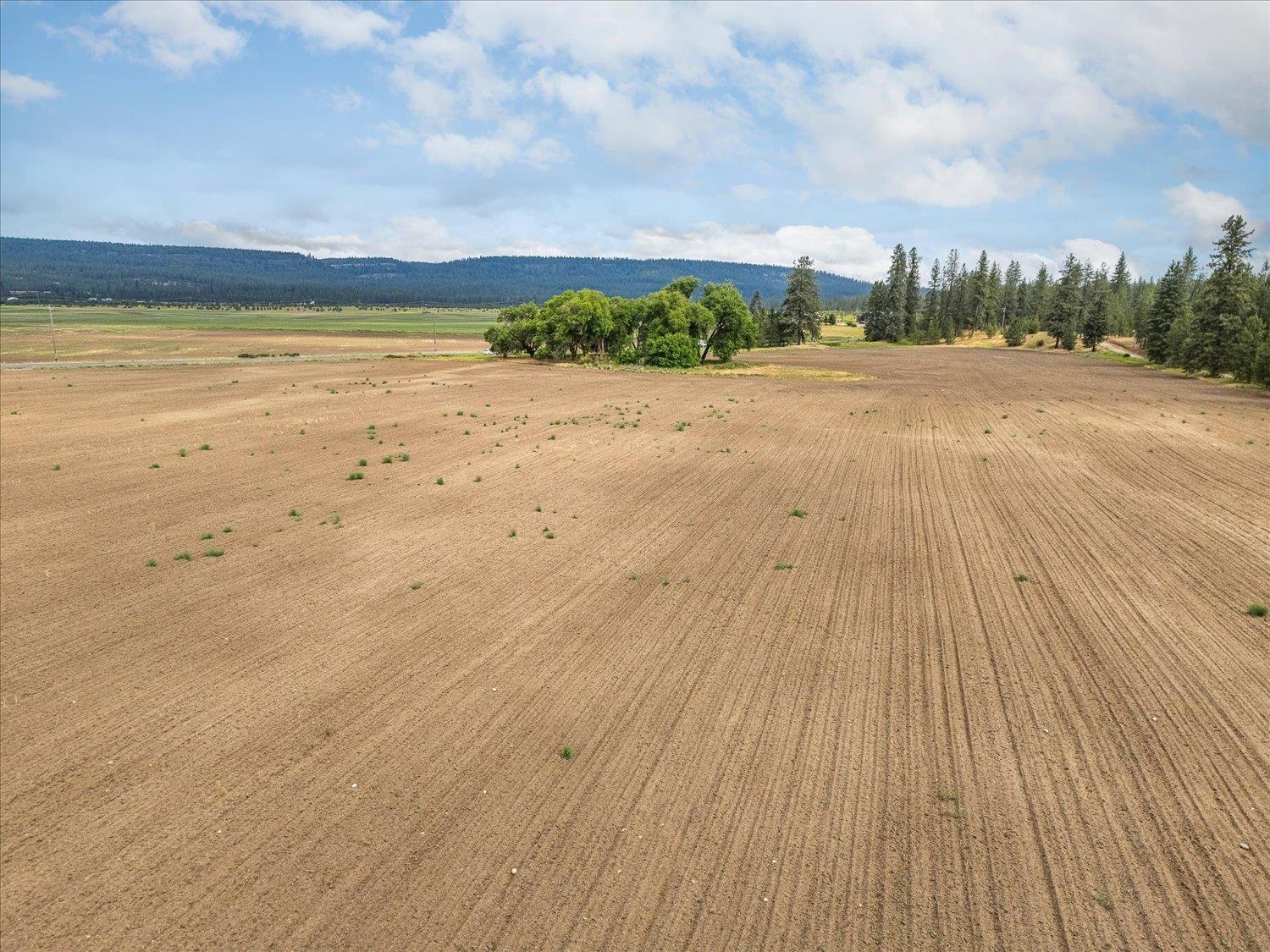 231 Springdale Wa 99173 Springdale, WA 99173 - Photo 8 of 35