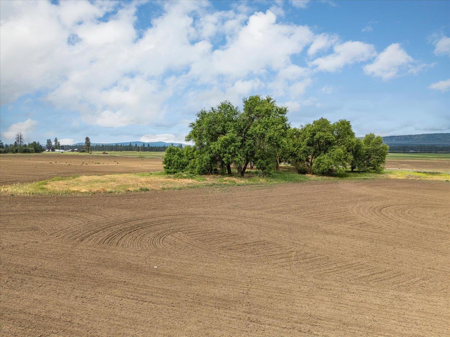 231 Springdale Wa 99173 Springdale, WA 99173 - Photo 10 of 35