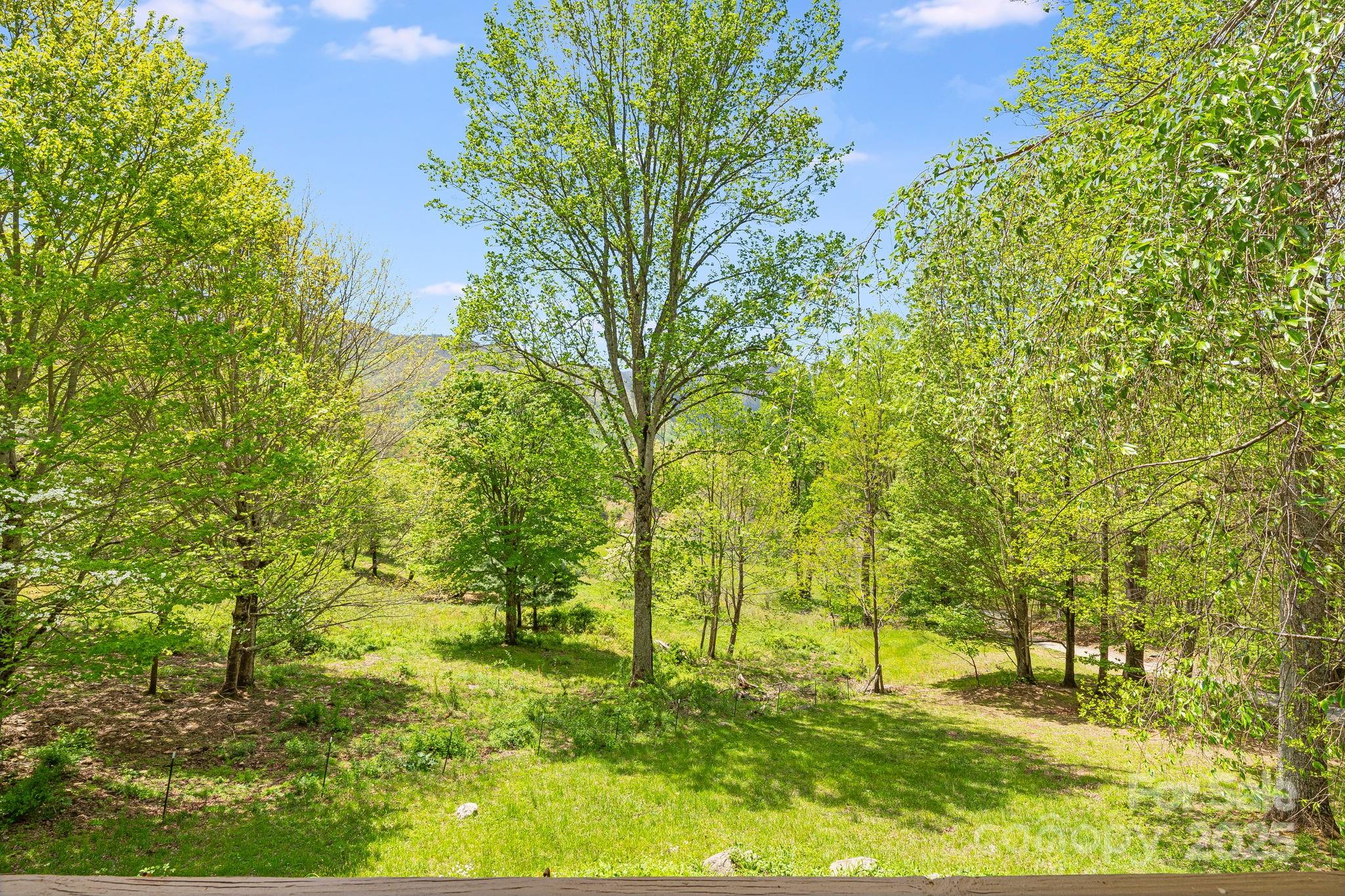 620 Mason Branch Road Bryson City, NC 28713 - Photo 41 of 43 a view of yard with trees