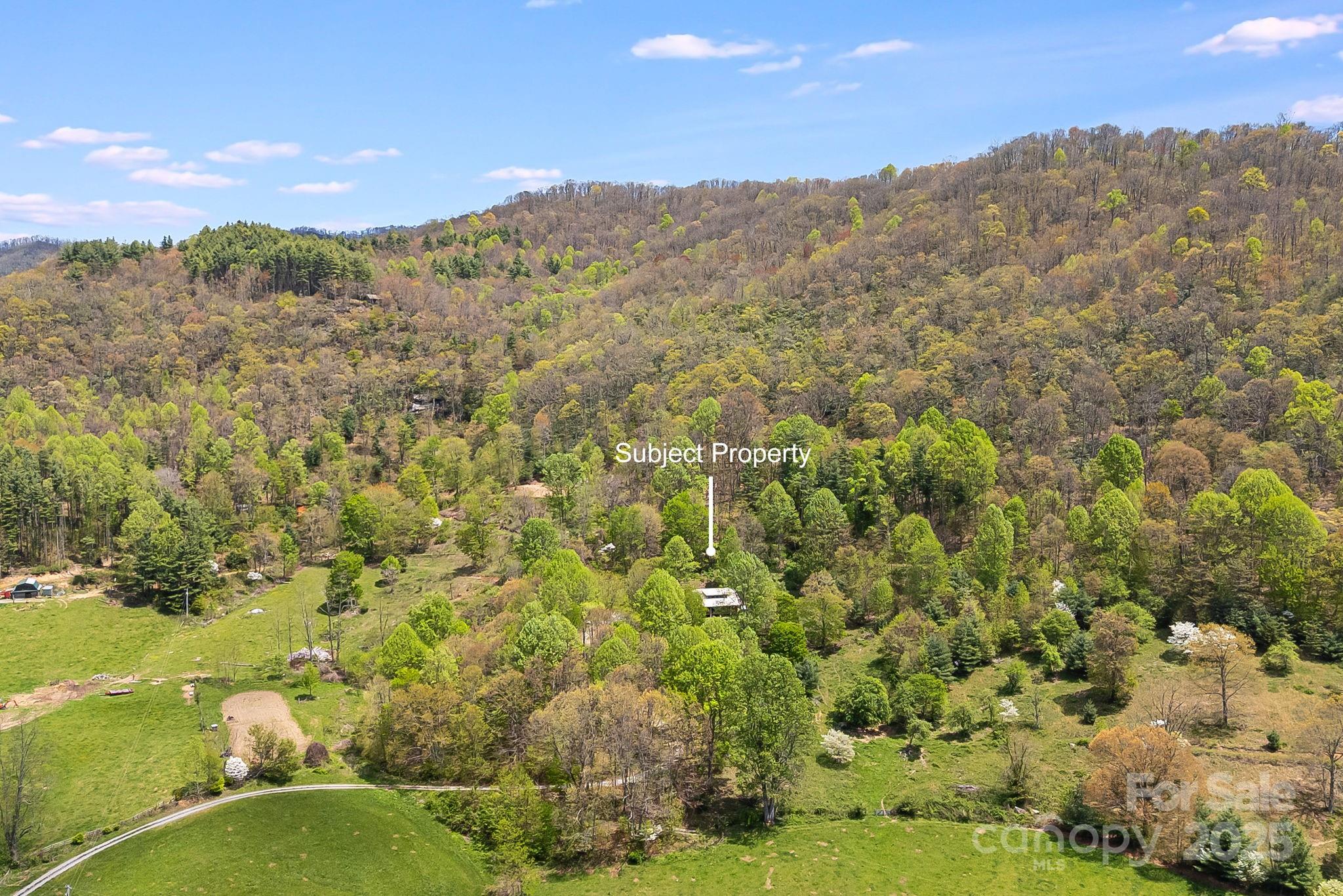 620 Mason Branch Road Bryson City, NC 28713 - Photo 42 of 43 a view of a city with mountains in the background