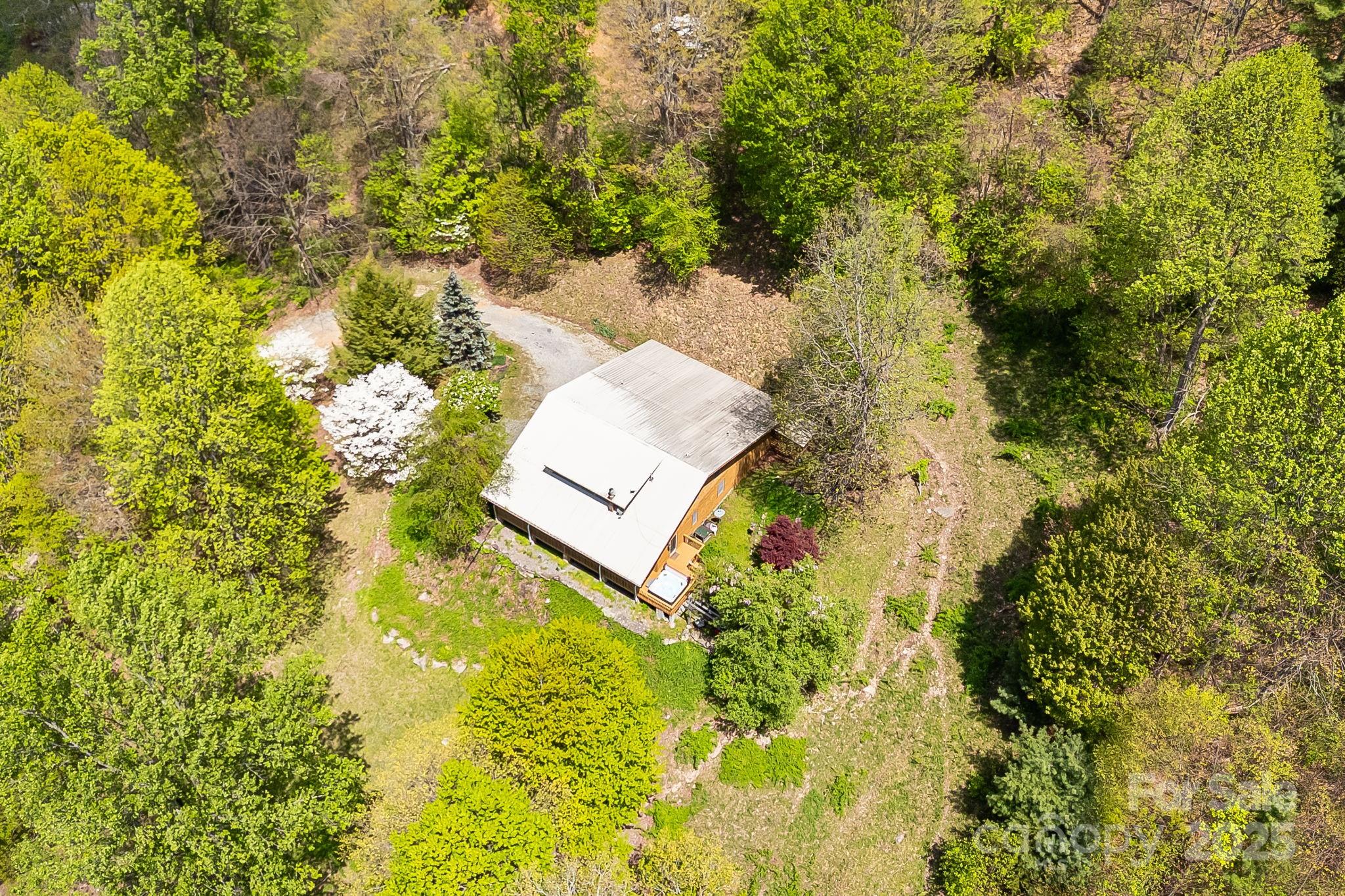 620 Mason Branch Road Bryson City, NC 28713 - Photo 43 of 43 a view of a tree with a yard