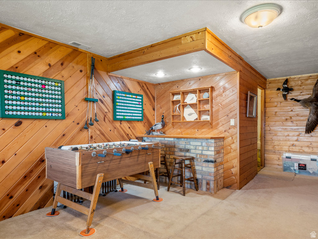 371 Lewis Loop, Unit 29 Fish Haven, ID 83287 - Photo 37 of 40 Recreation room featuring diagonal wood paneling and a built-in brick-faced bar with a wood countertop