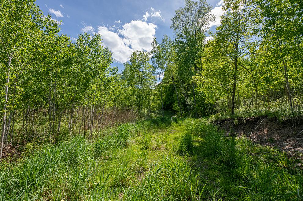 4580 Coveyville Road Phelps, WI 54554 - Photo 20 of 35 Gallery Image 20