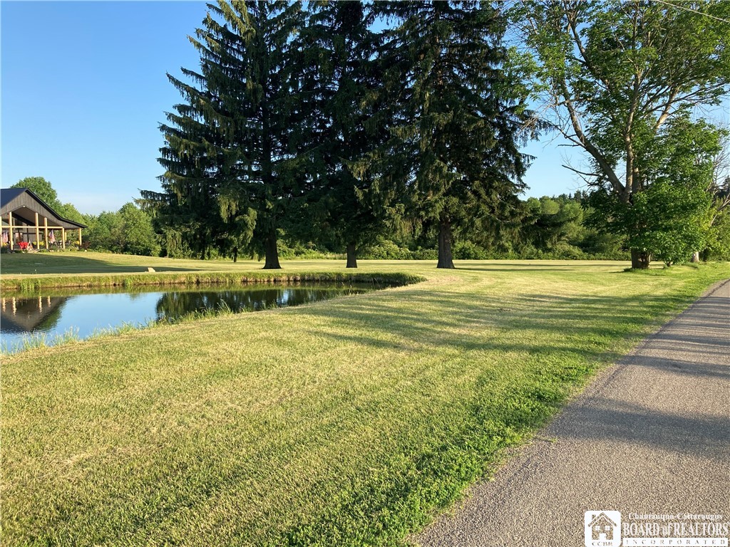 615 Eccles Hill Road Road Kennedy, NY 14747 - Photo 6 of 23 Where are all the ducks…. Yes they love to swim in