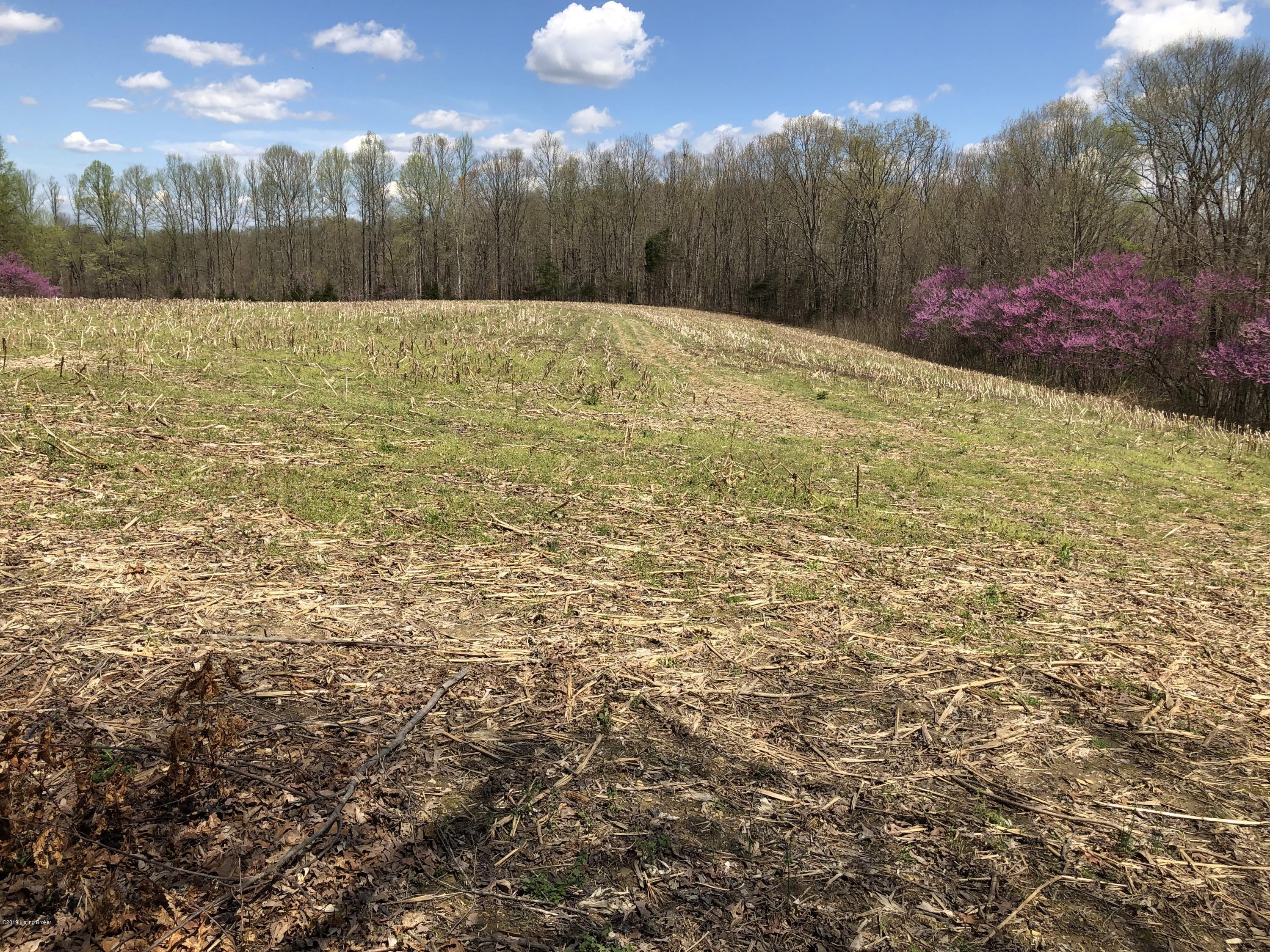 11601 Liberty Road Columbia, KY 42728 - Photo 27 of 37 IMG_1196