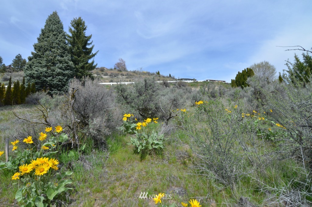 926 No-See-Um Road Chelan, WA 98816 - Photo 8 of 11 Gallery Image 8