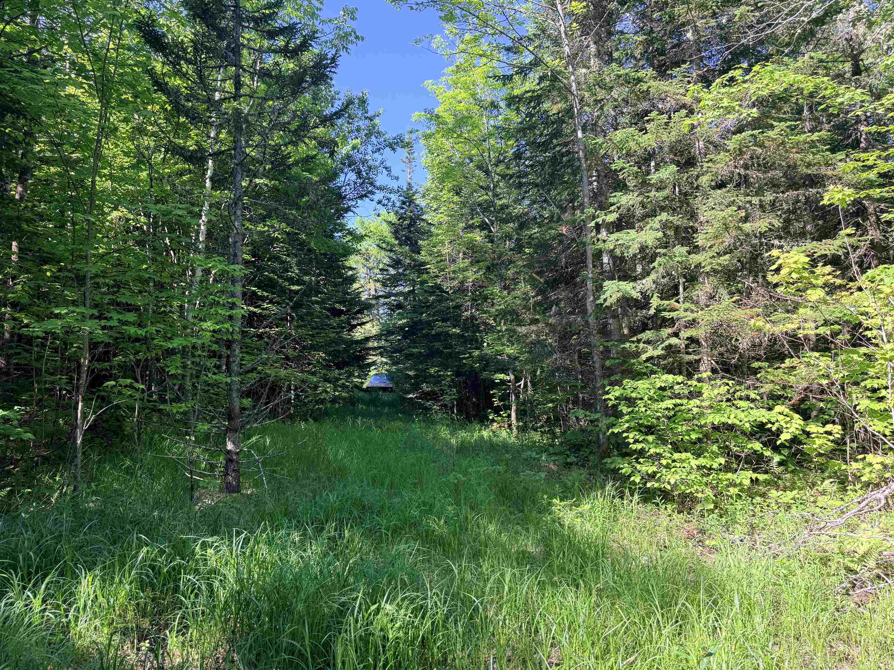 0 Tug Mountain Road Lunenburg, VT 05906 - Photo 5 of 18