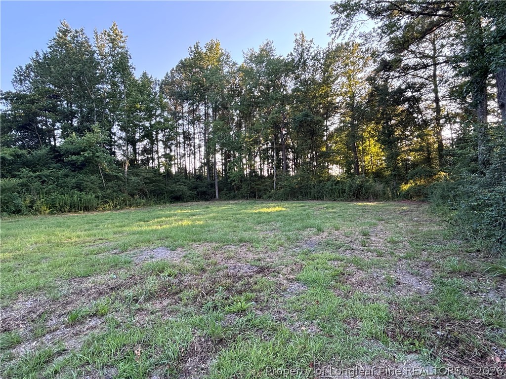 595 Shaw Road St. Pauls, NC 28384 - Photo 16 of 29